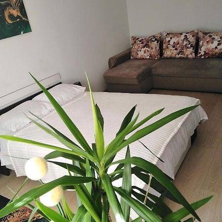 Garsoniera Rebecca Apartment Tîrgu Ocna Екстериор снимка