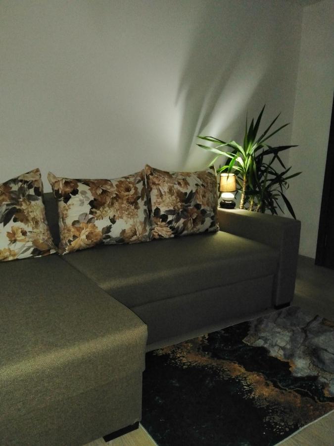 Garsoniera Rebecca Apartment Tîrgu Ocna Екстериор снимка