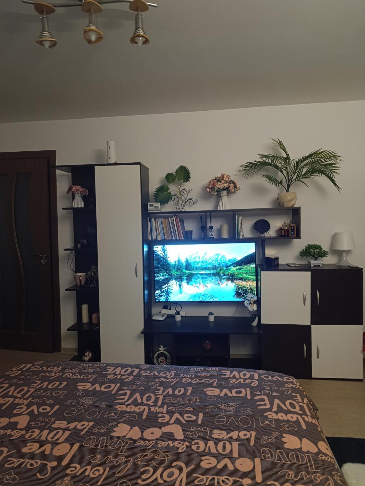 Garsoniera Rebecca Apartment Tîrgu Ocna Екстериор снимка